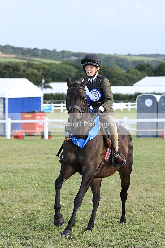 JPP_3794 - Working Hunter Championship