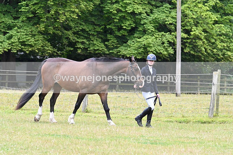 WJ7_7244 - Champs