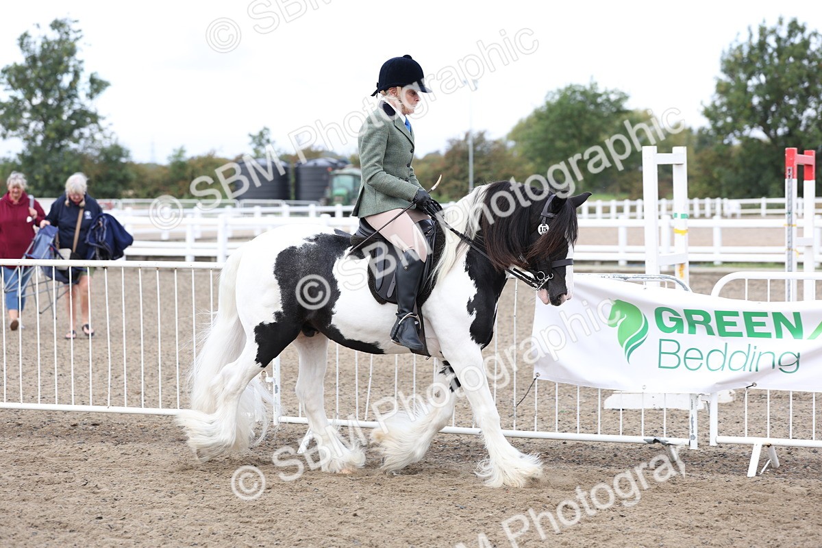 SBM_01476 - Class 52 - Ridden Veteran