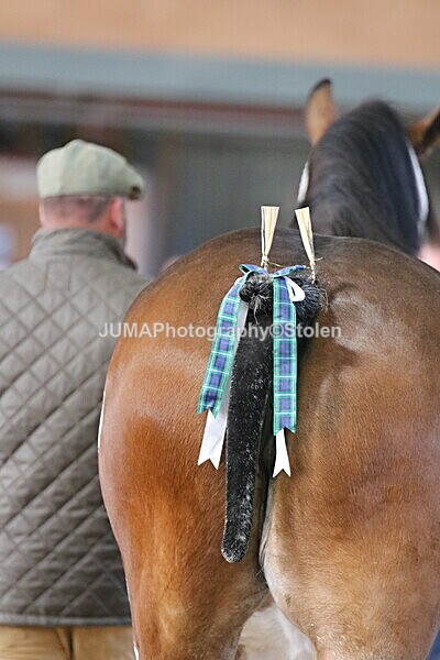 SIAL0247 - Indoor Classes