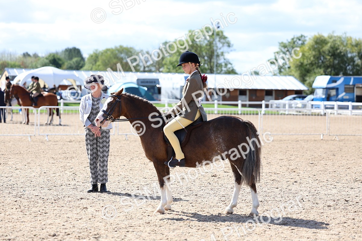 SBM_13326 - Class 311 - Ridden Show Pony Show Hunter Pony