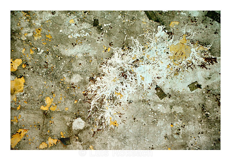 Émergence - Abstractions at Galerie Lozeau, Montreal