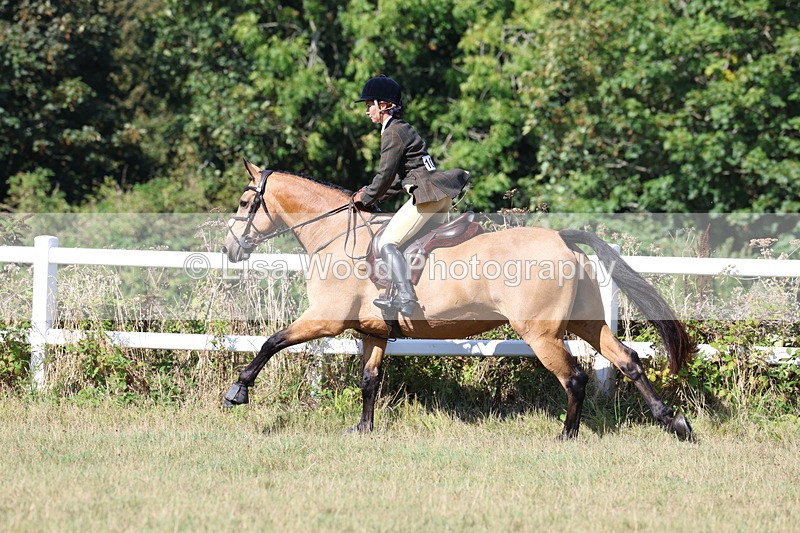 3E7A5837 - Class 5: Working Hunter 90cm