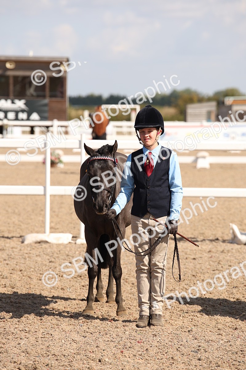 SBM_03019 - Class 17 Prettiest Mare IH or Ridden