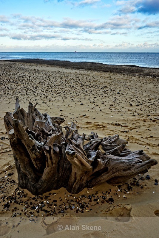 DSC09287 - Suffolk