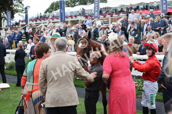 yr19082022r4-102 - Race 4 3.35pm Coolmore Wootton Bassett Nunthorpe Stakes (British Champion Series Race)