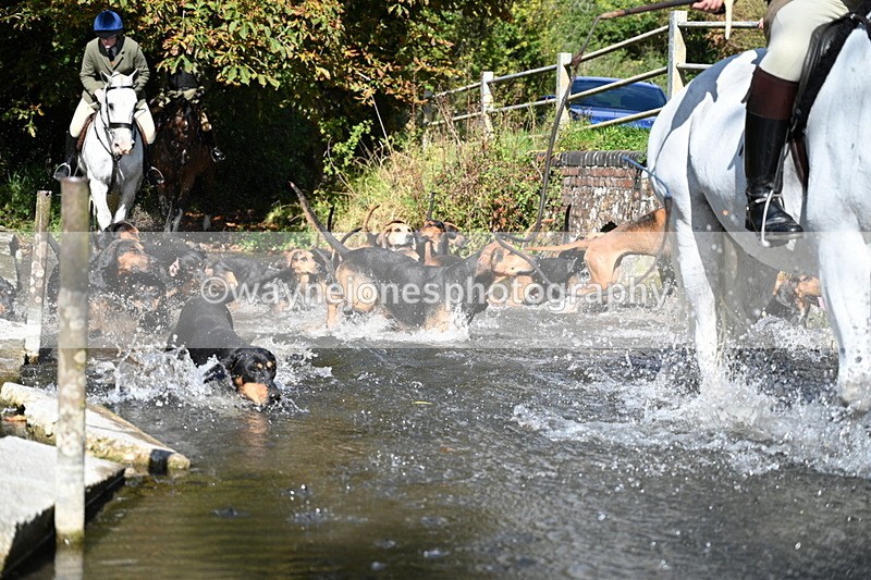 WJ7_5961 - Hounds Water Crossing