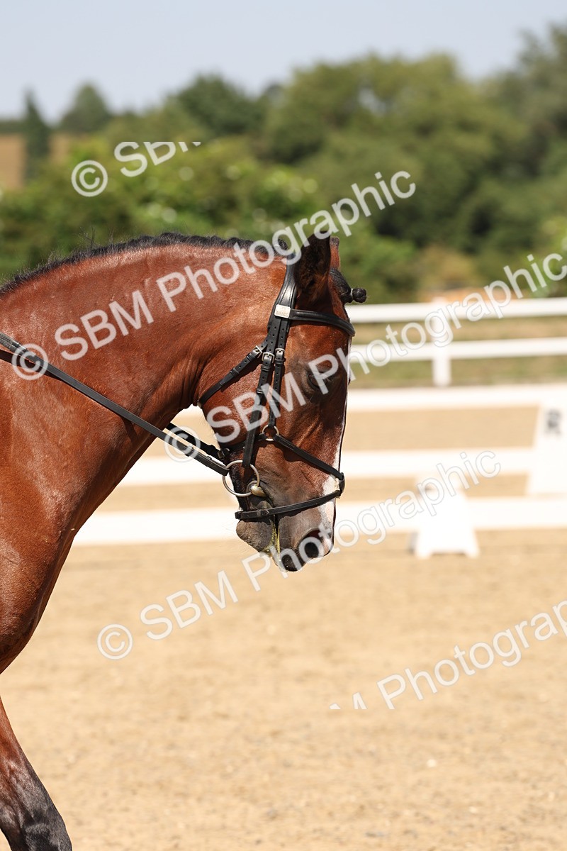 SBM_005614 - Prelim 4 - 13.34-15.39