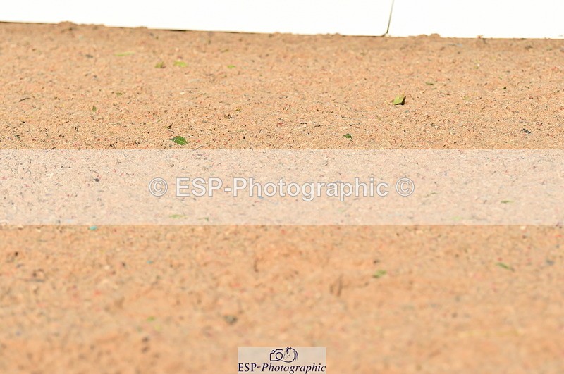 231104A-110720-01465 - Cls 5 Novice 37A