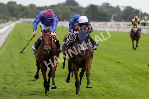 yr23072022r3-27 - Race 3 3.15pm Sky Bet York Stakes