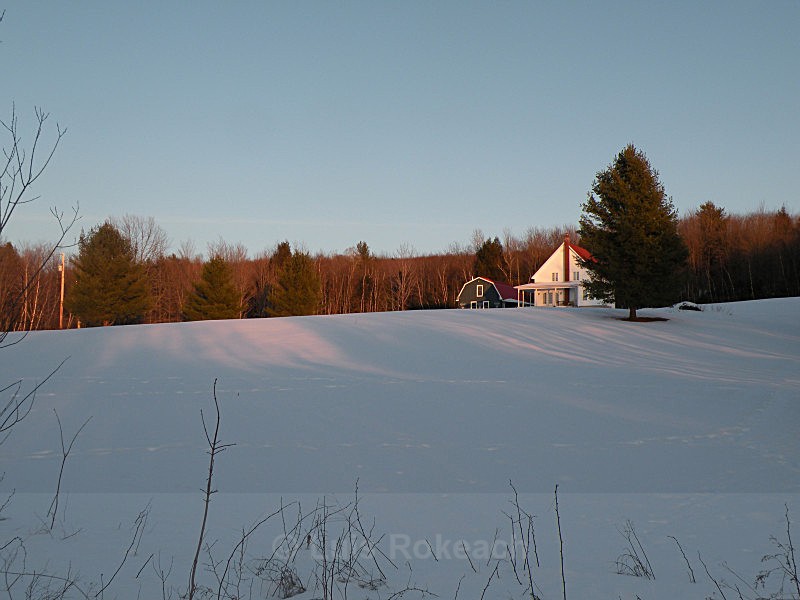  - Winter