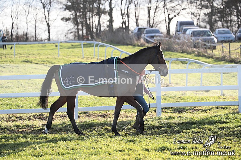 PtP 011224 648 - Hursley Hambledon Point-to-Point Larkhill 01/12/24