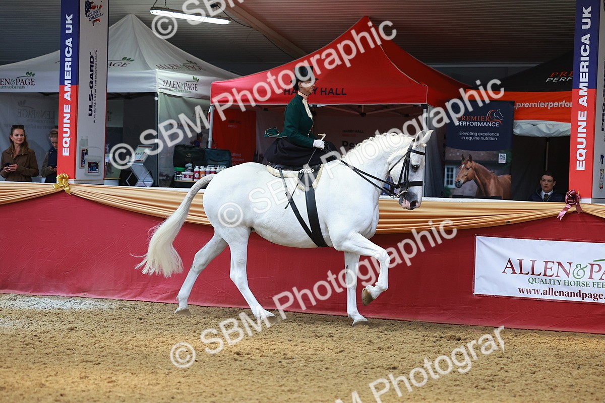 SBM_13876 - Class 106 - Ridden Costume - Side Saddle