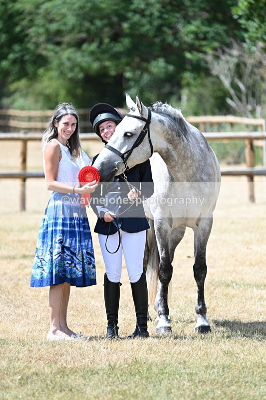 WJ7_2024 - Class 4a Prettiest Mare 14.2hh and over hand