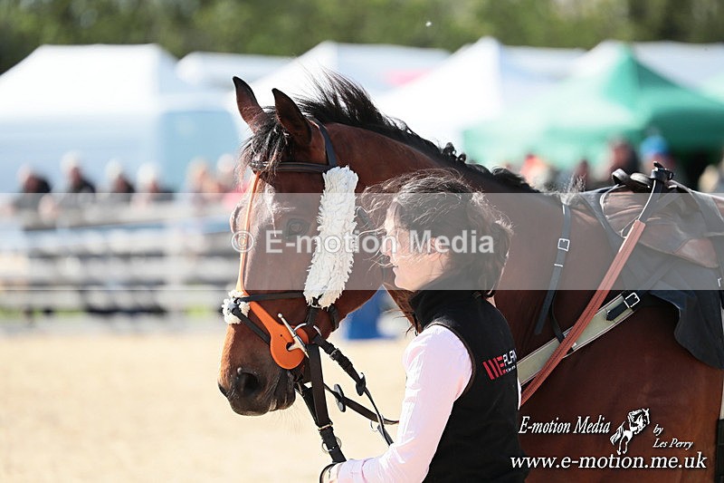 PtP 050525 342 - Mollington Races 05/05/25