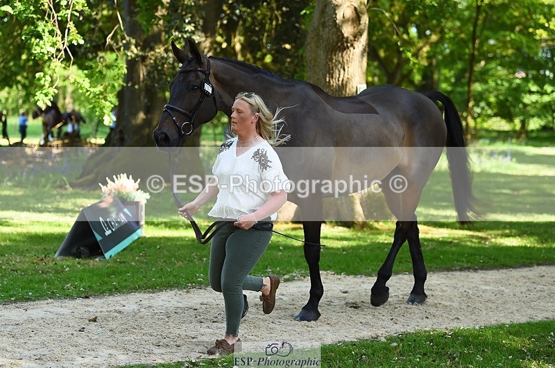 230524-155930-00603 - 207-TYNAN_COOLEY-Lucy_Stimson-WEDTrotUp+DR