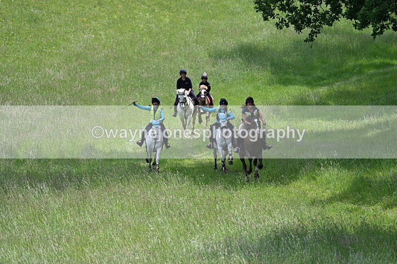 WJ7_8667 - Group 3 10:45am