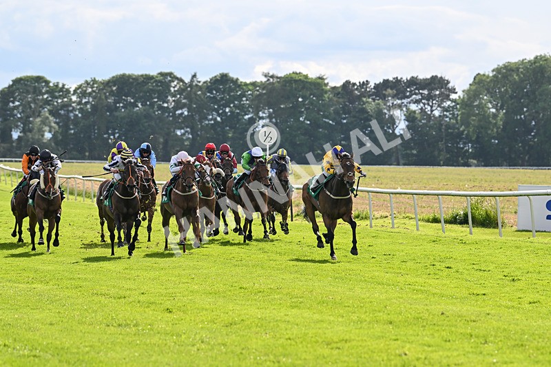 160624-Race 5-American Affair-8935 - Race 5