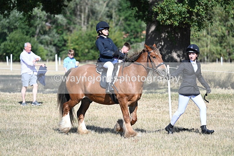 WJ7_2983 - Class 8 Ridden Tack & Turnout