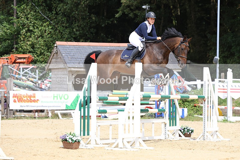 3E7A4369 - Class 8: Senior Foxhunter/1.20 open