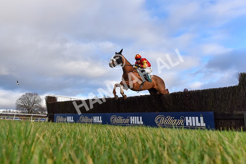 020224-Race 4-Treaty Boy-1216 - Race 4