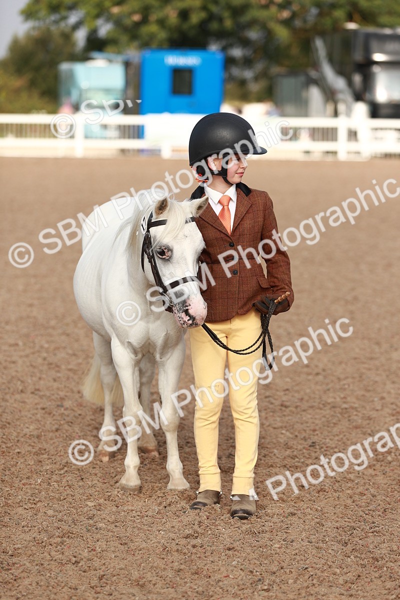 SBM_09926 - Class 203 Young Handler, 10 years and under