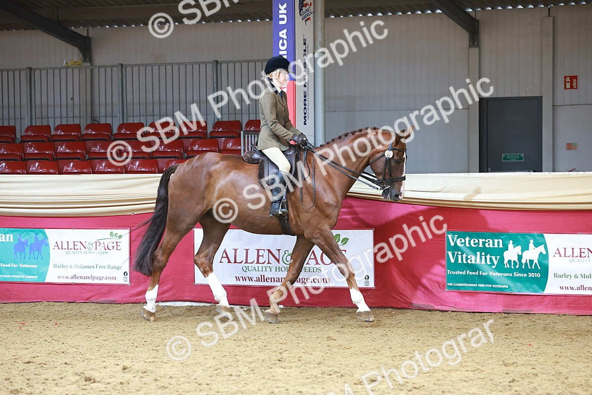 SBM_10504 - Class 103 - HOYS Veteran Qualifier - Ridden Pre Vet