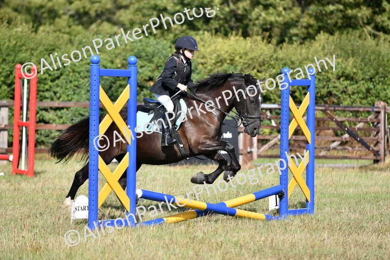 20260906-0946 - Class 7 - Absolute Novice Jumping 35cm