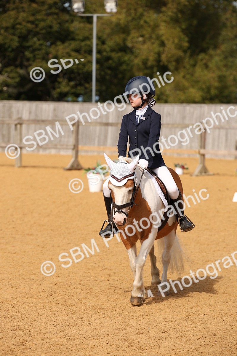 SBM_21802 - D5 - Small Tour Championship - Intro C