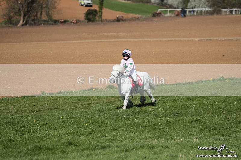 Shet 060426 142 - Shetland Pony Racing Paxford Races Easter Mon 06/04/26