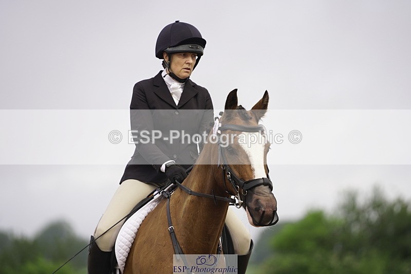 230708A-090914-00049 - Intro C