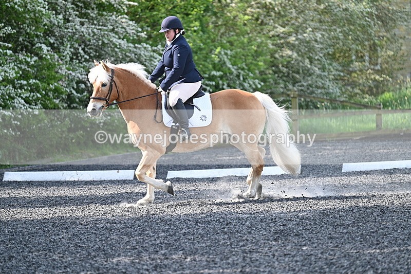 WJ7_7993 - Time 10:11 to 10:27