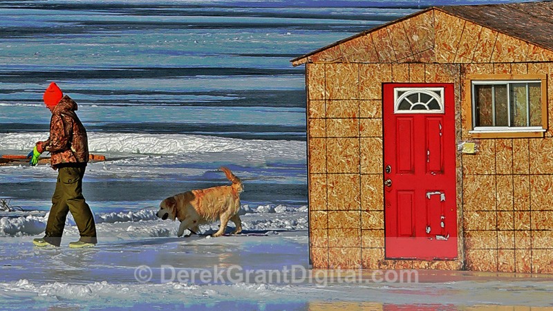 Ice Fishing Shack and a Dog