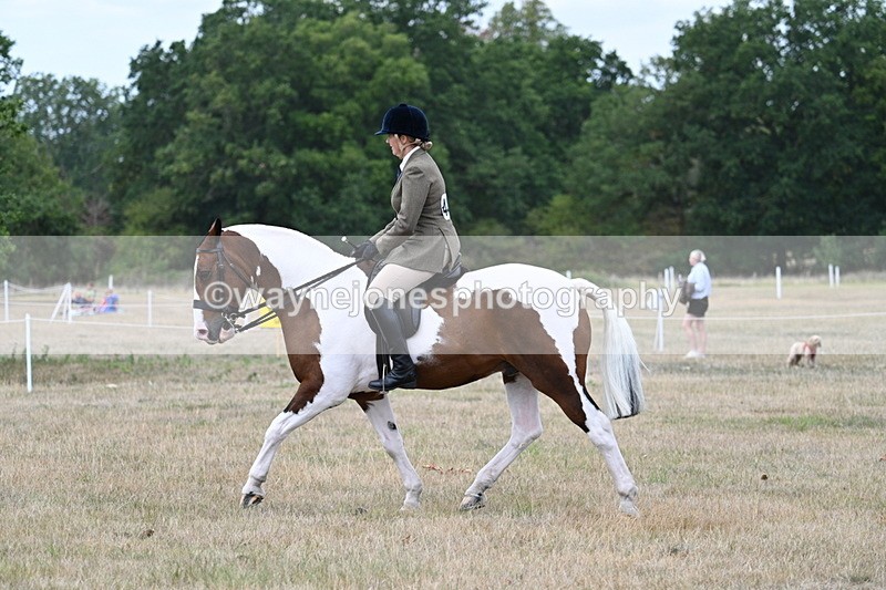 WJ7_4970 - Class 12 Ridden Cob
