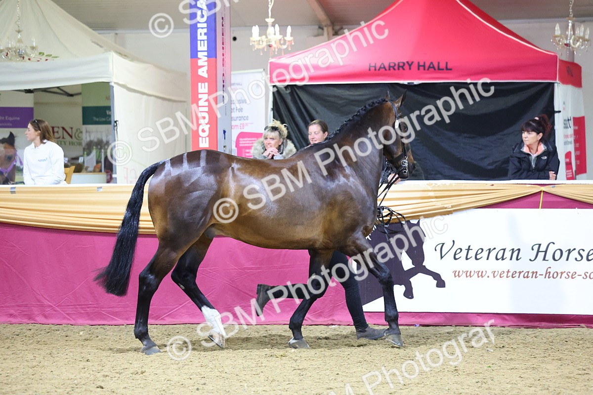 0B8A4554 - Class P Veteran Champ