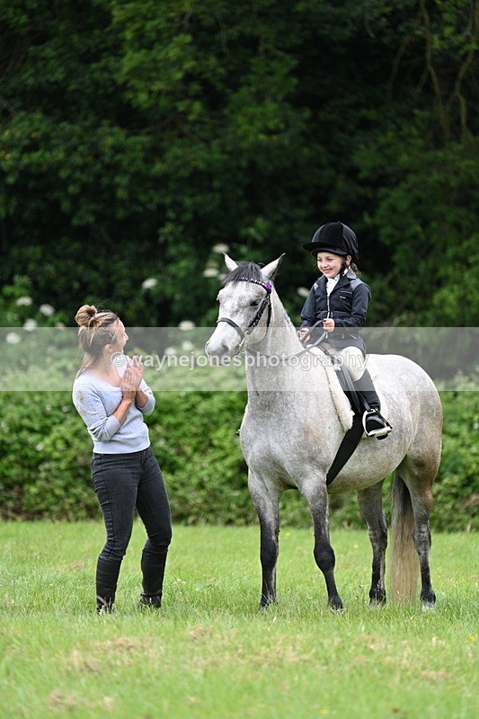 WJ7_4200 - Class 14A Handsome Gelding
