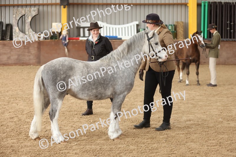 20251109-0630 - Class 22 - Geldings 4 Years and over