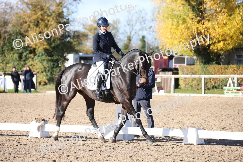 20251102-0979 - Class 5 - Elementary 5