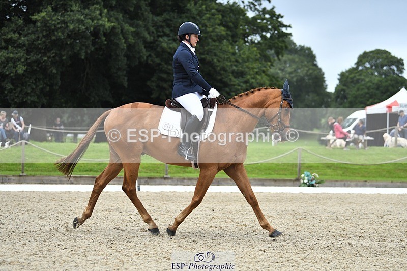 230812-122715-04122 - Cls 6 Novice Silver 12.10 to End