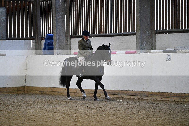 WJ5_5907 - Class 9 Ridden Veteran