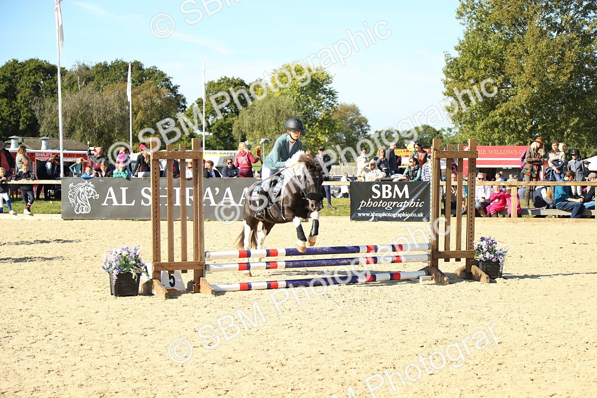 SBM_36014 - J5 - Junior Pony 50cm Championship