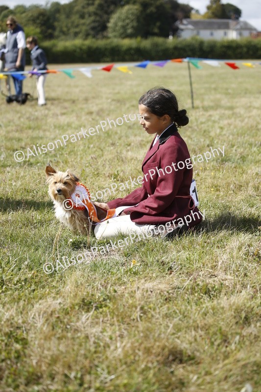 20250831-3706 - Dog Show