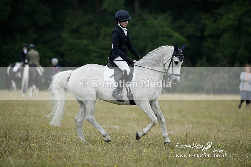 BVRC 030721 571 - Bourne Valley Riding Club Dressage 03/07/21