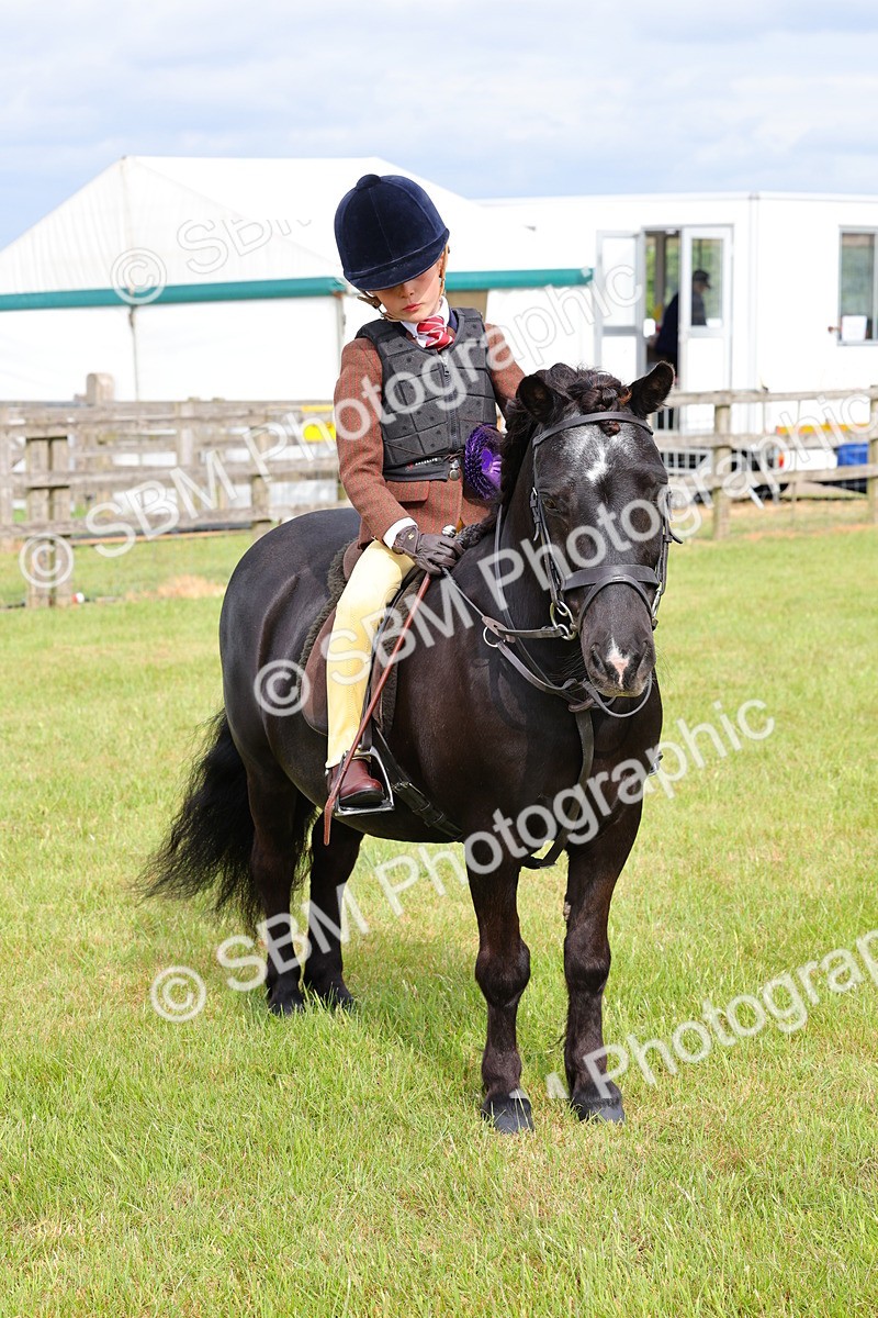 SBM_09681 - Class 44-45 - LIHS BSPS Open Nursery and Cradle Stakes