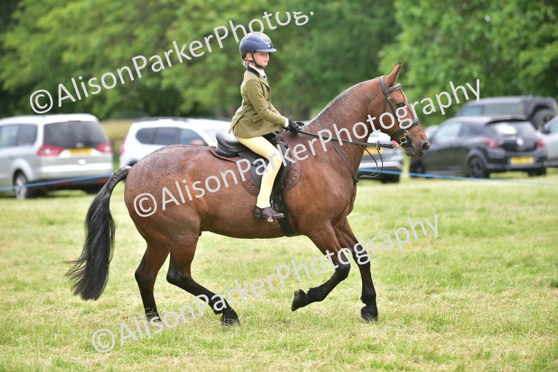 20260614-2676 - Class 13 - Pony Club Pony