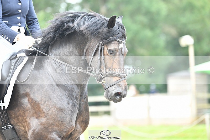 230812-105352-03493 - Cls 6 Novice Silver 10.30 to 11.55 break