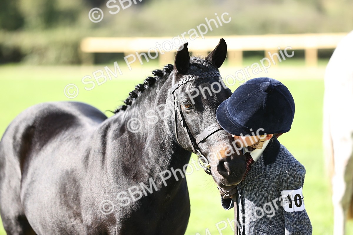 SBM_26206 - S5 - Novice & Newcomers In Hand