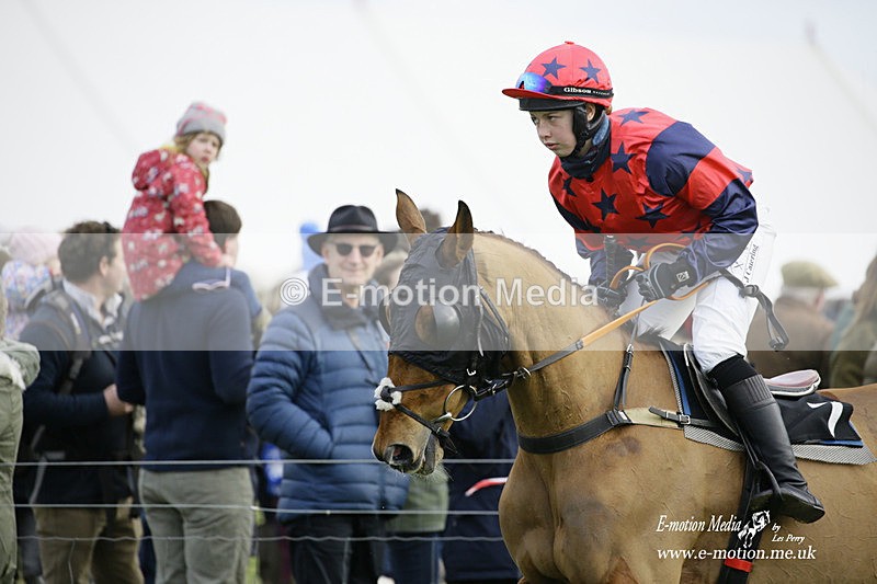 PtP 300122 455 - South Dorset Hunt - Point-to-Point Races 30/01/2022