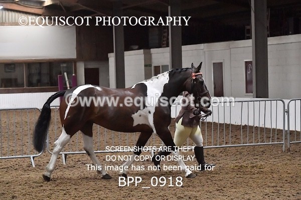 BPP_0918 - RING 2