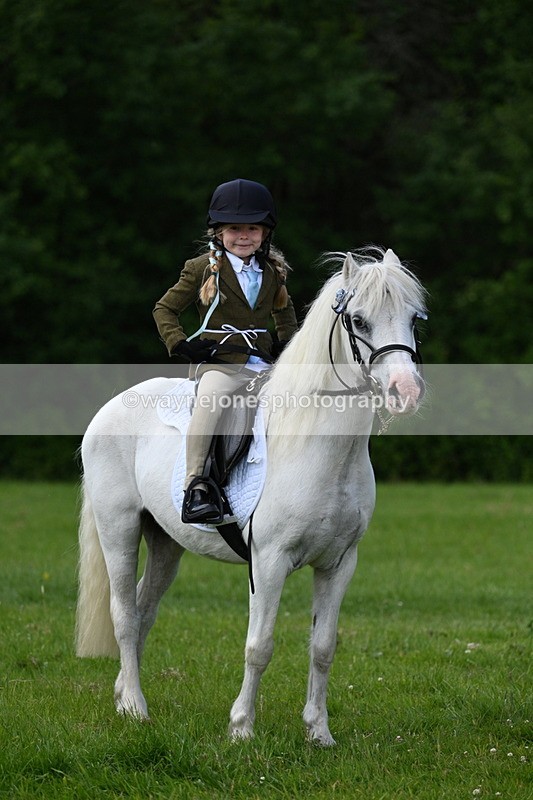 WJ7_1724 - Class 11 Condition & Turnout